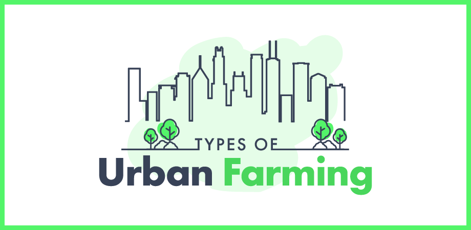 Title card for "Types of Urban Farming" with illustrated outline of the Chicago skyline.
