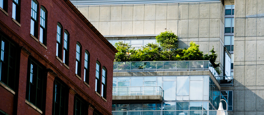 Urban farm seen over a glass balcony.